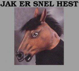 2004 – Snel hest